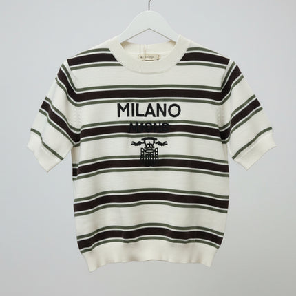 Olive Green & Brown Striped Fine Knit Top