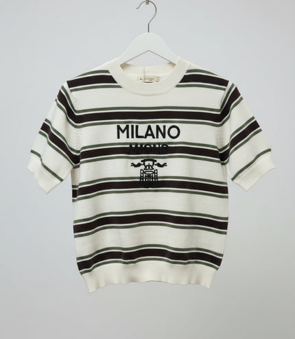 Olive Green & Brown Striped Fine Knit Top