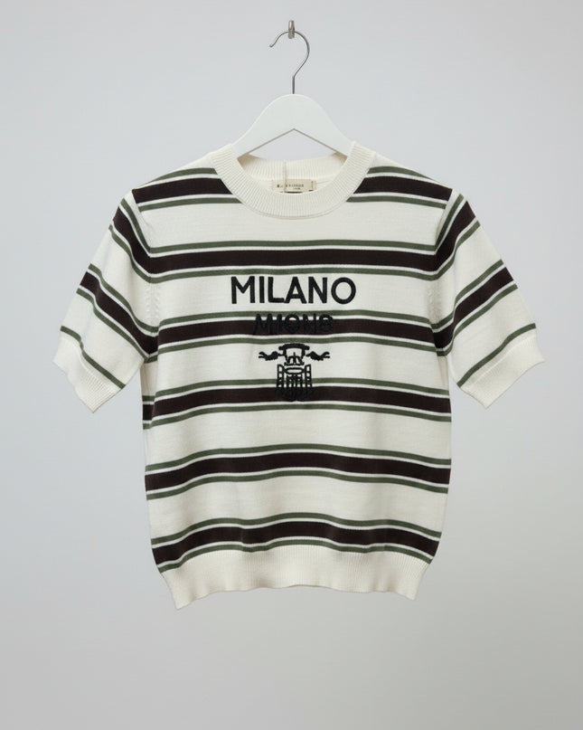 Olive Green & Brown Striped Fine Knit Top