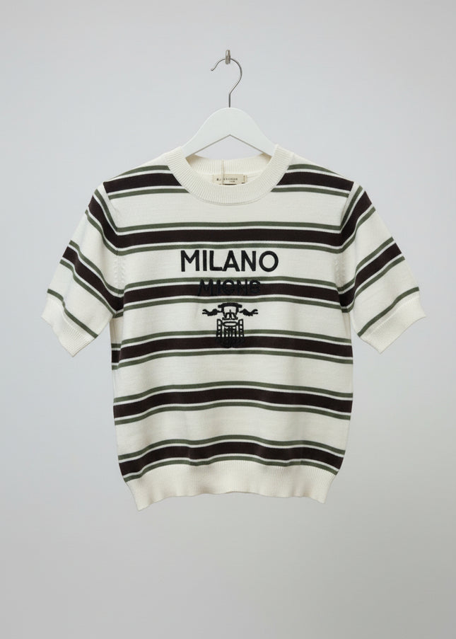 Olive Green & Brown Striped Fine Knit Top