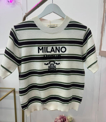 Olive Green & Brown Striped Fine Knit Top