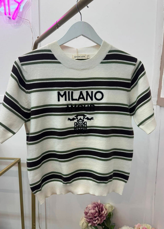 Olive Green & Brown Striped Fine Knit Top