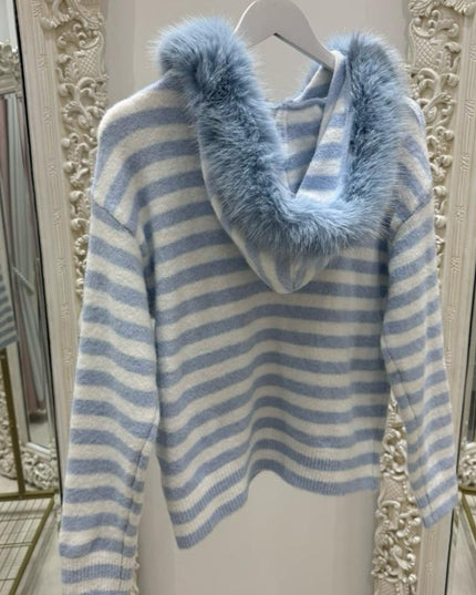 Ellie ~ Powder Blue Striped Hooded Jacket
