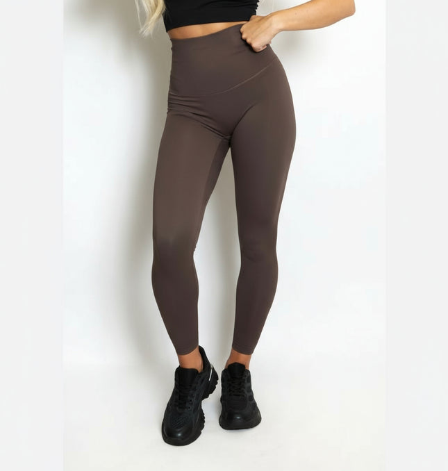 Mollie ~ Sculpting Silky High Waisted Leggings